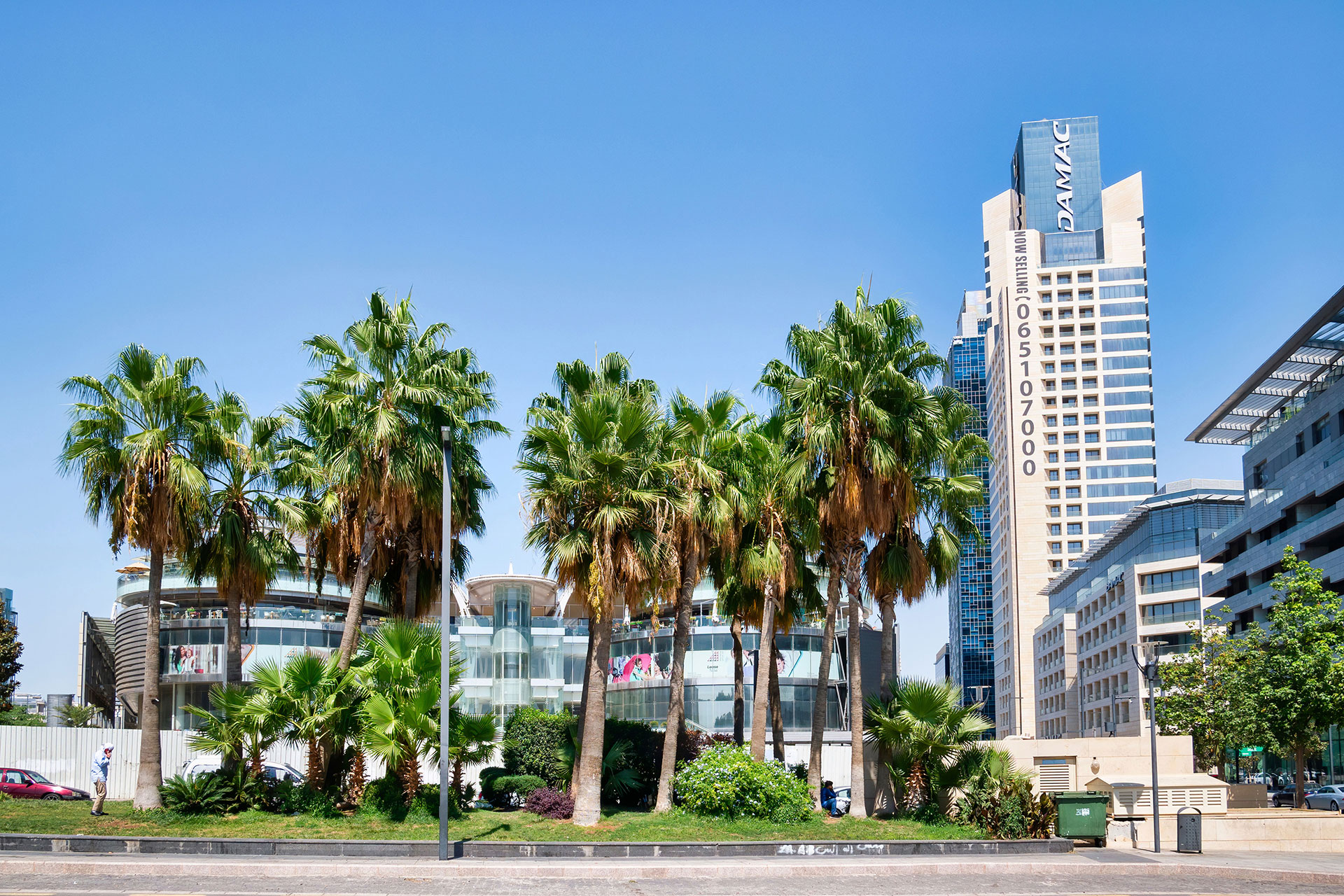 Modern Amman city view with DAMAC Tower and palm trees in Abdali Boulevard, Jordan.